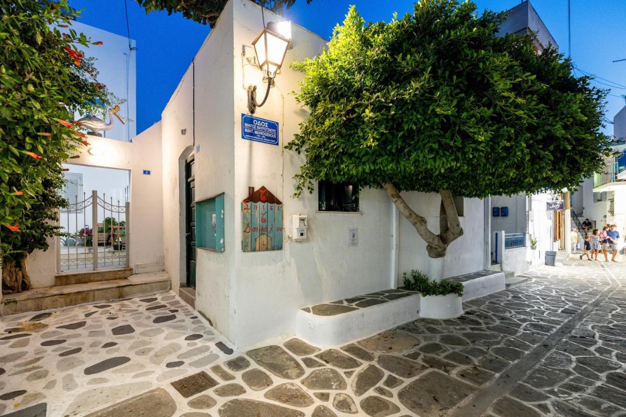 Pelican Paros Exteriér fotografie