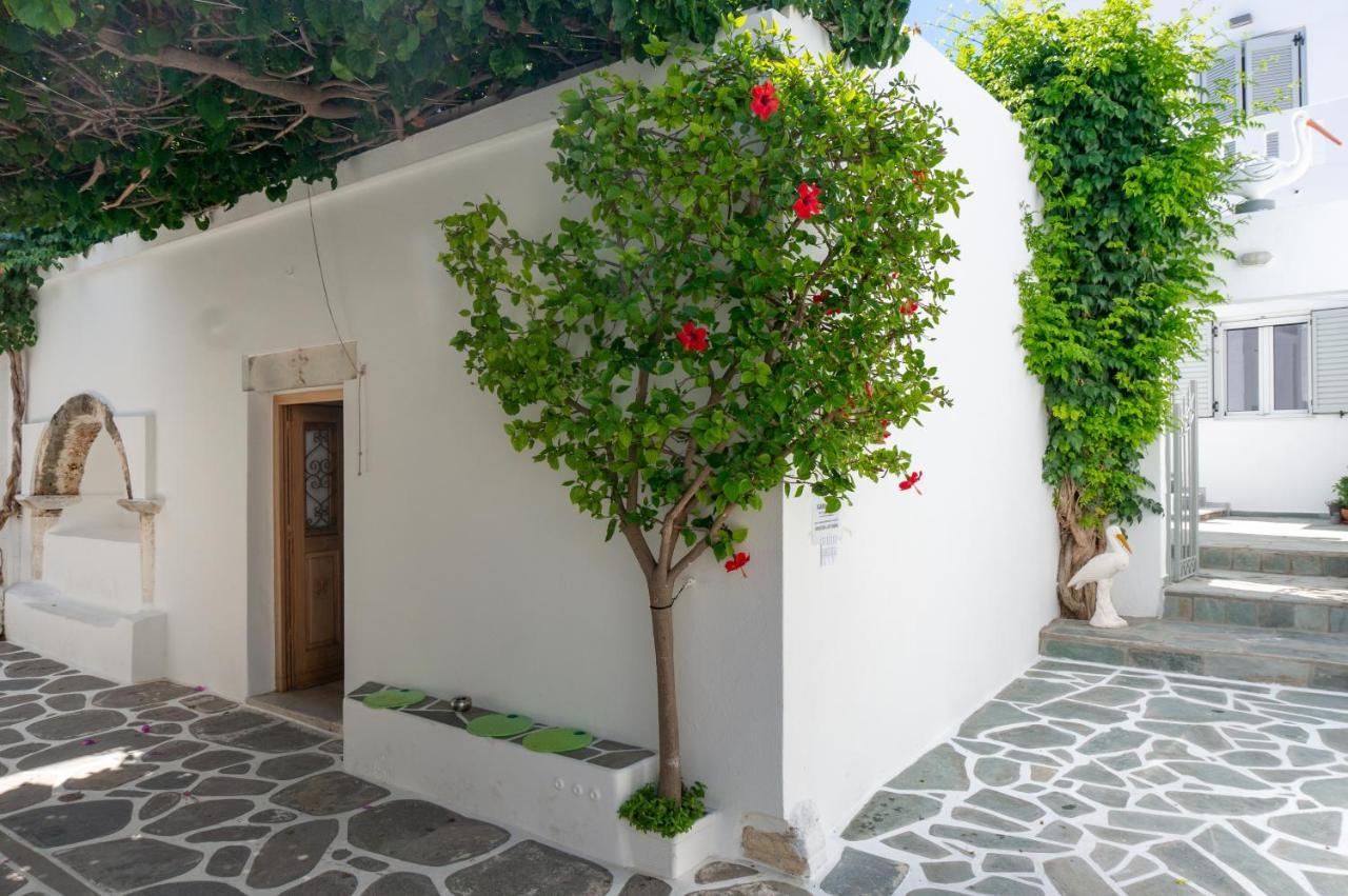 Pelican Paros Exteriér fotografie